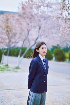 国产观看免费高清电视剧推荐