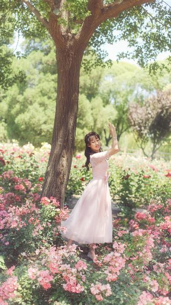 白月梵星电视剧在线观看全集免费播放